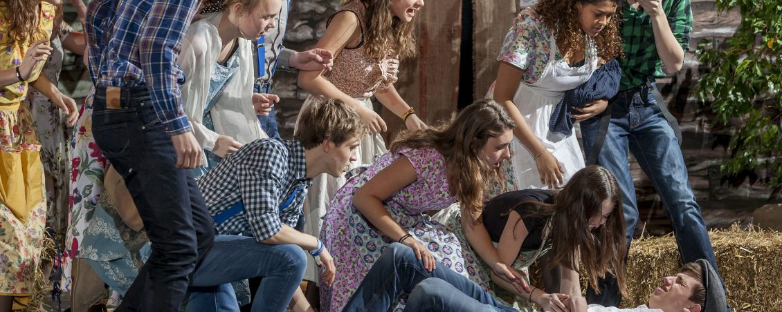 ORS Lek en Linge Culemborg